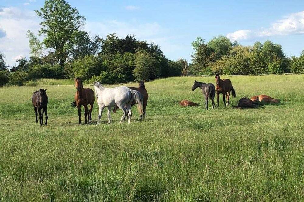Photo of Outdoor in Cumlosen