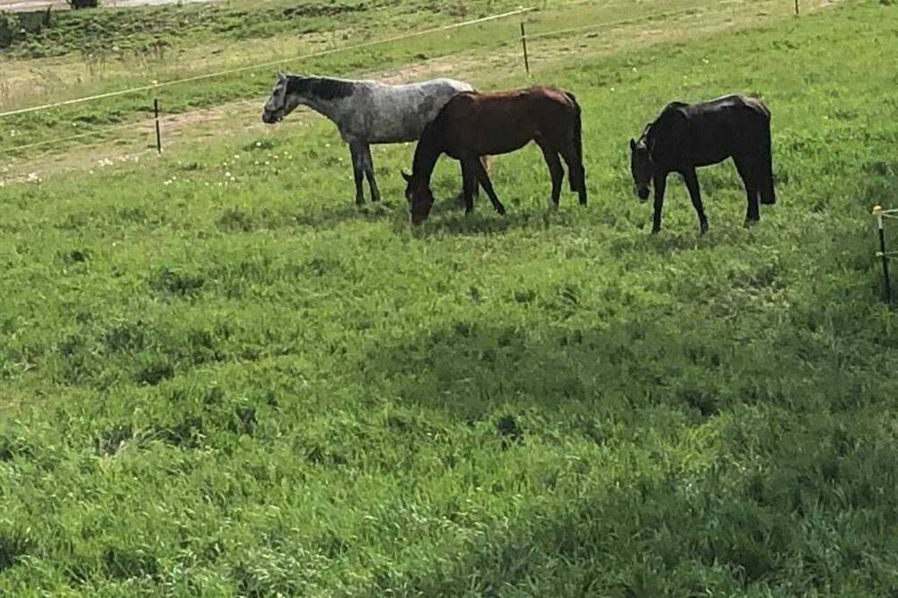 Photo of Outdoor in Cumlosen