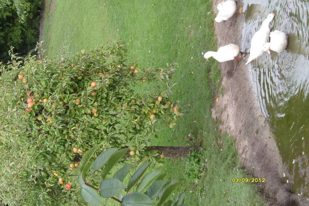 Photo of Outdoor in Cumlosen