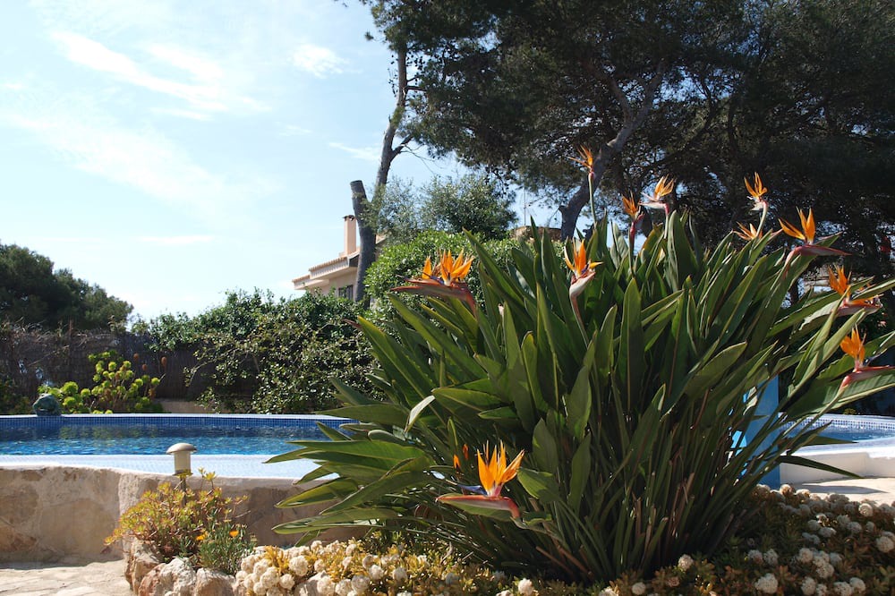 Photo of Outdoor in Llucmajor