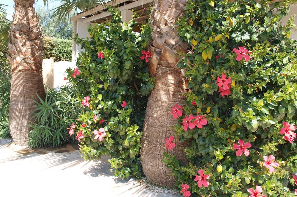 Photo of Outdoor in Llucmajor
