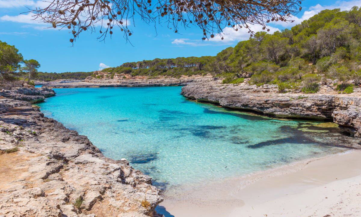 Photo of Others in Cala Serena