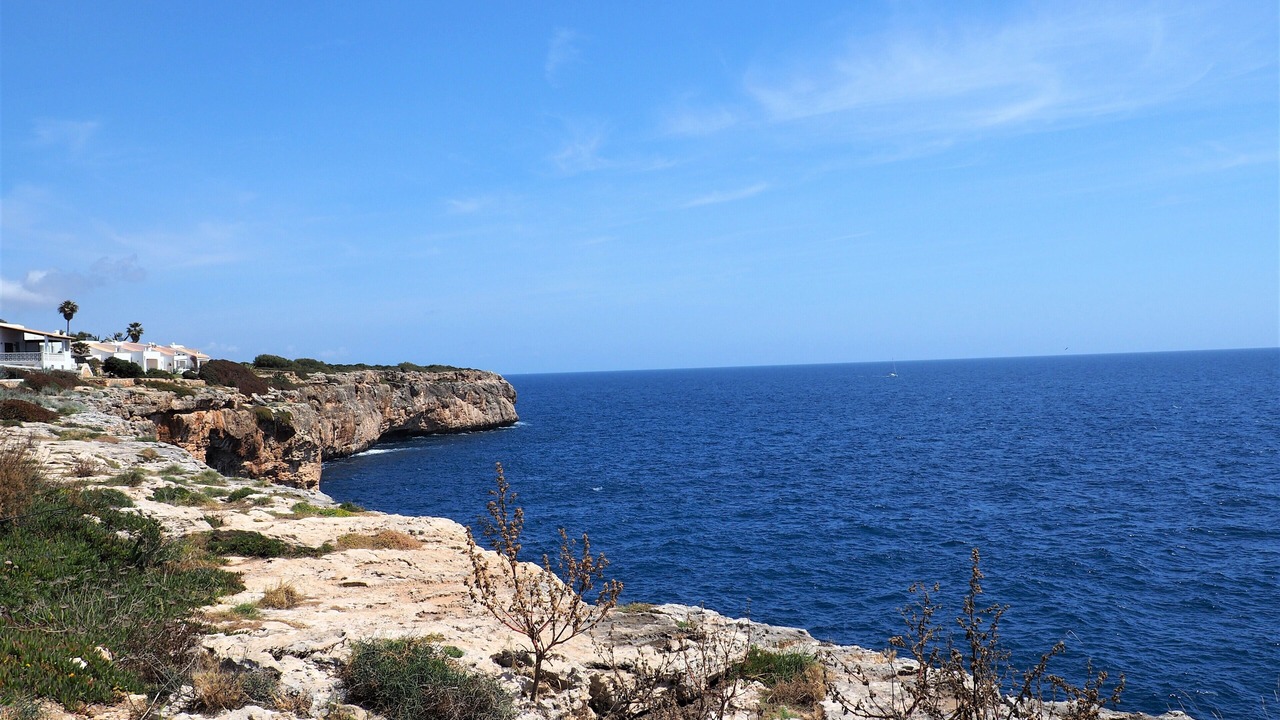 Photo of Others in Cala Serena