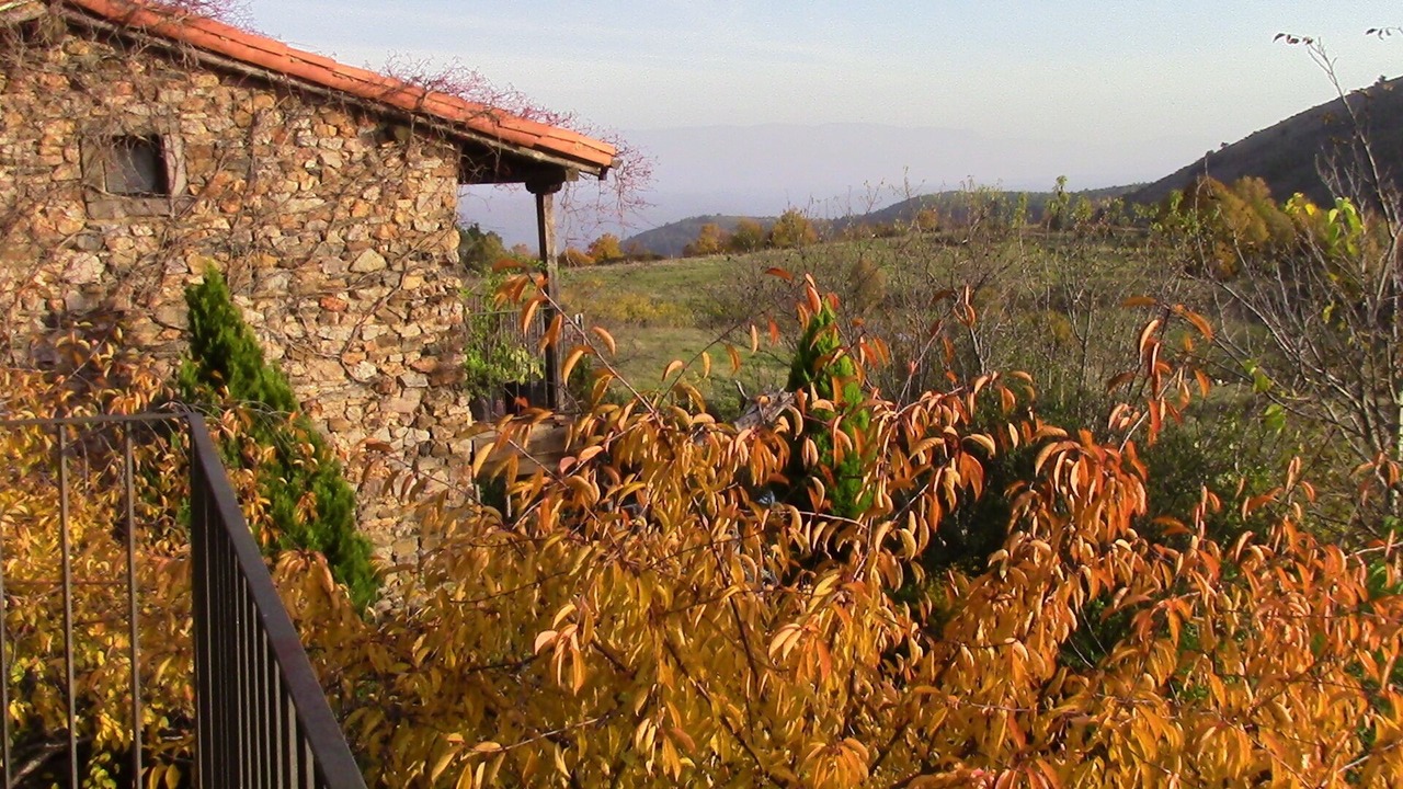 Photo of Outdoor in San Miguel del Robledo