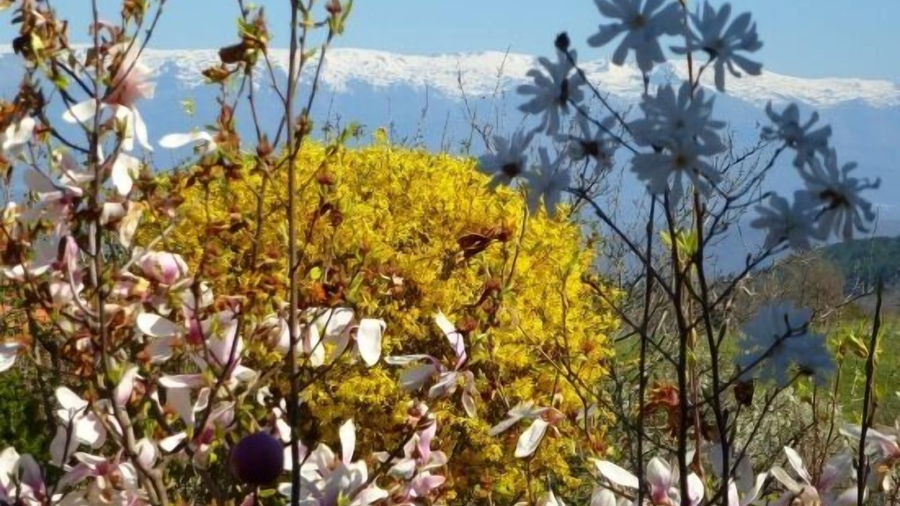 Photo of Outdoor in San Miguel del Robledo