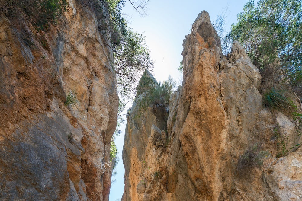 Photo of Outdoor in Escorca