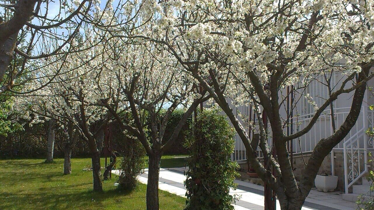 Photo of Outdoor in Pelabravo