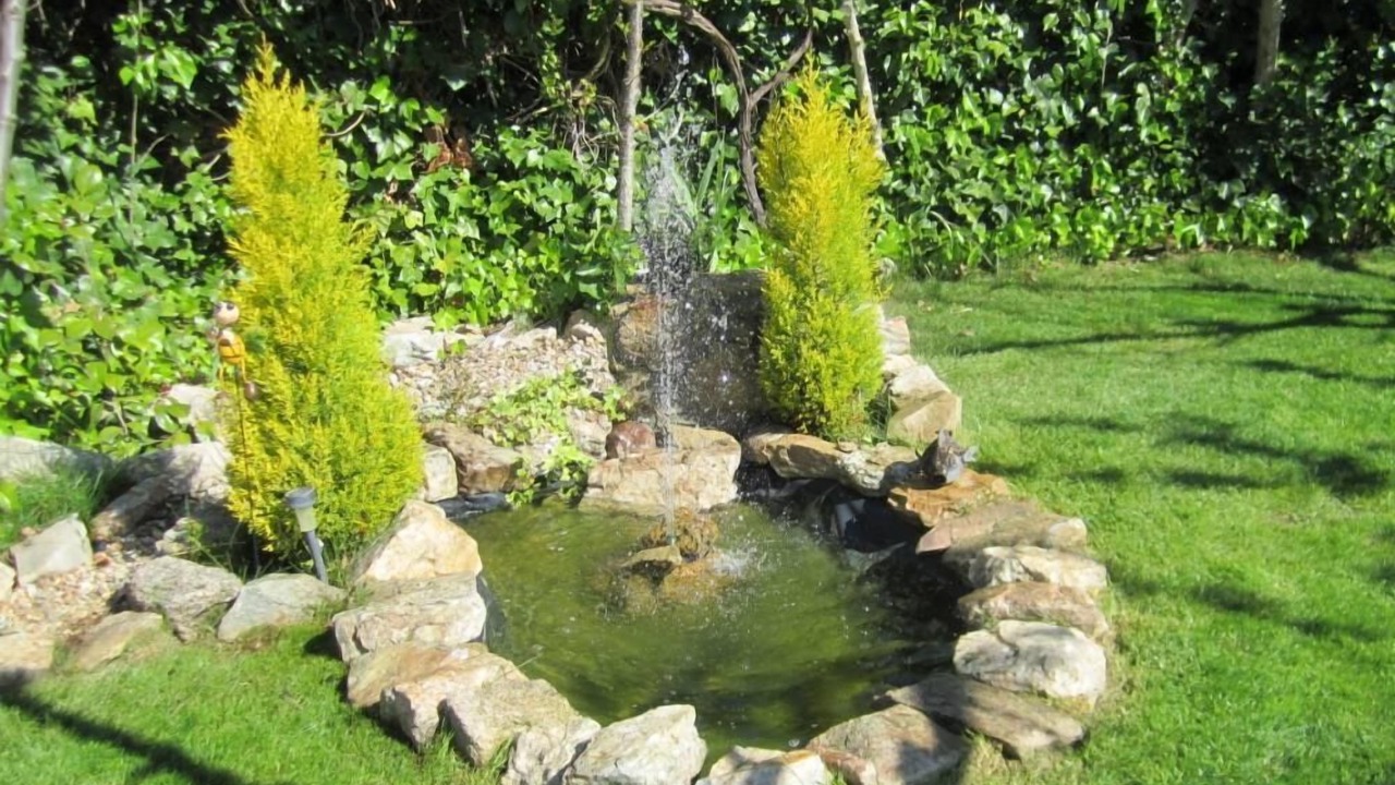 Photo of Outdoor in Pelabravo