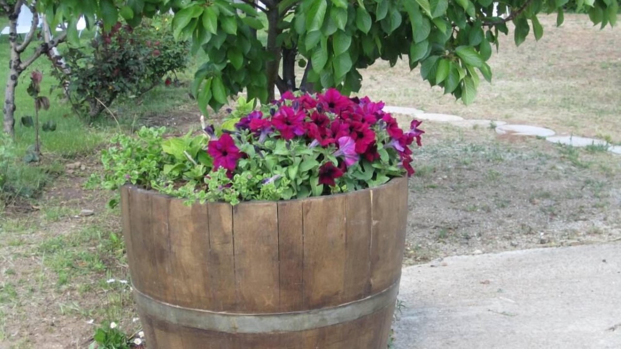 Photo of Outdoor in Pelabravo