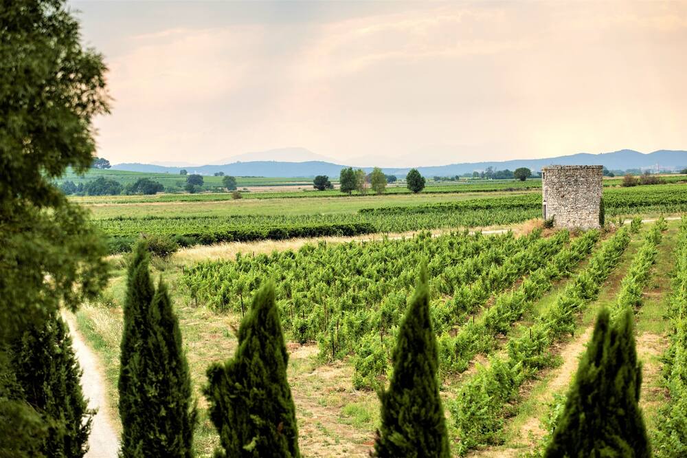 Photo of Outdoor in Sainte-Anastasie