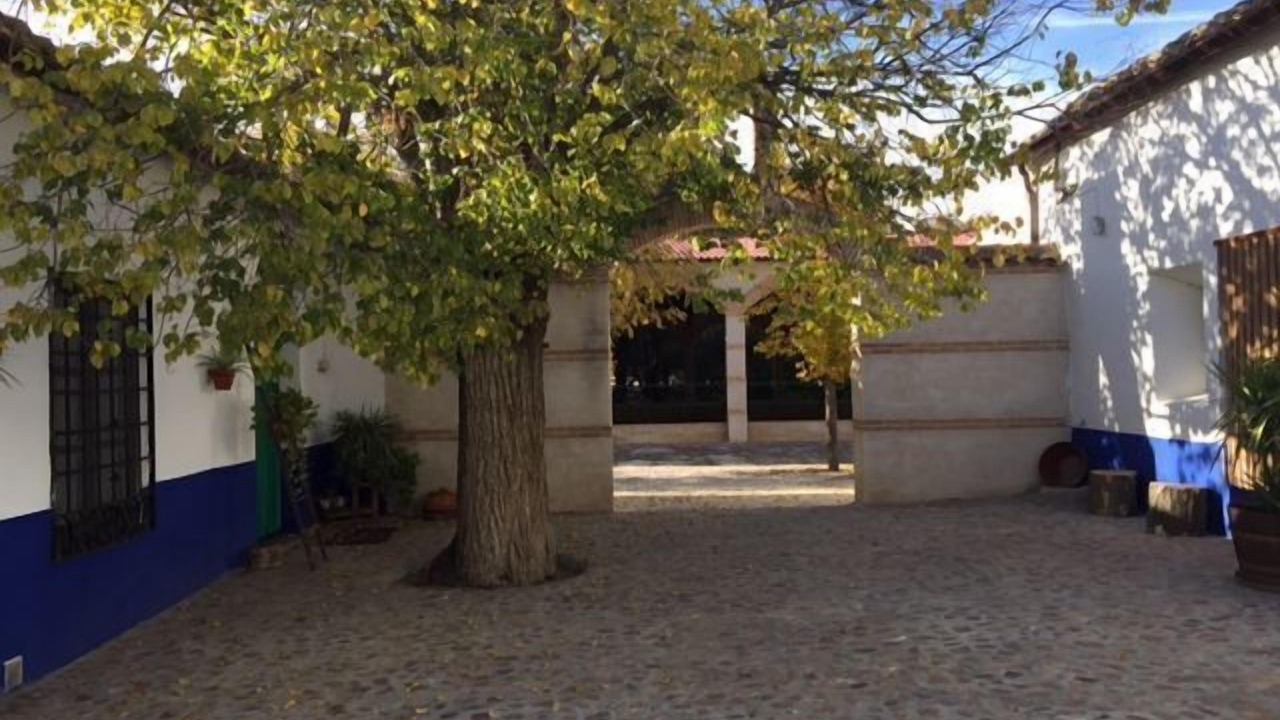 Photo of Outdoor in Orgaz