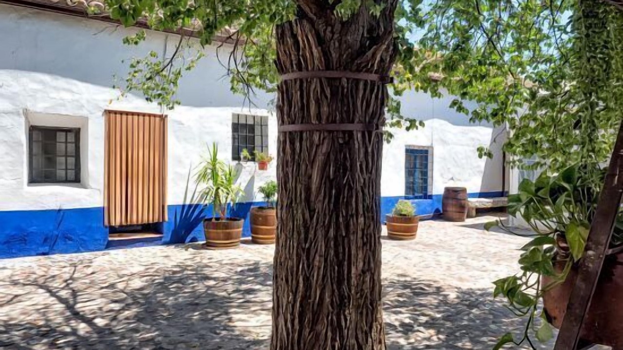 Photo of Outdoor in Orgaz