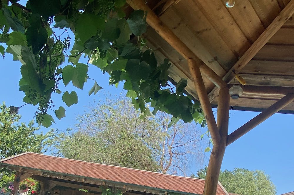 Photo of Outdoor in Prevessin-Moens
