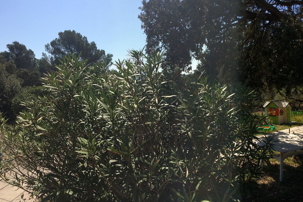 Photo of Outdoor in Puget