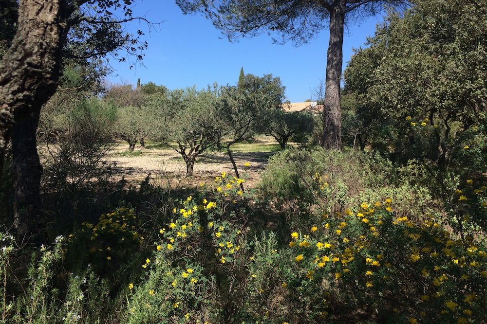 Photo of Outdoor in Puget