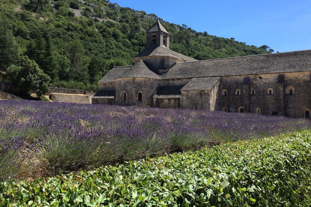 Photo of Outdoor in Puget