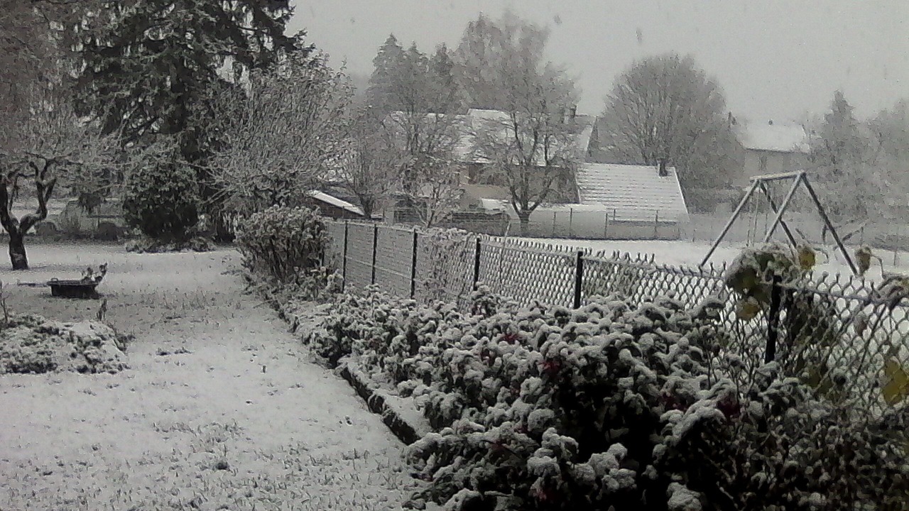 Photo of Outdoor in Charchilla