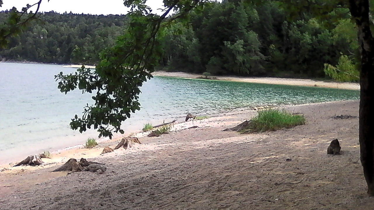 Photo of Others in Charchilla