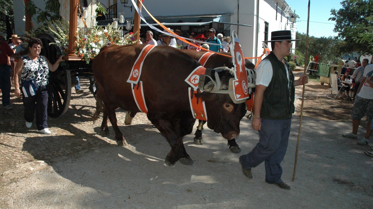 Photo of Others in Alajar