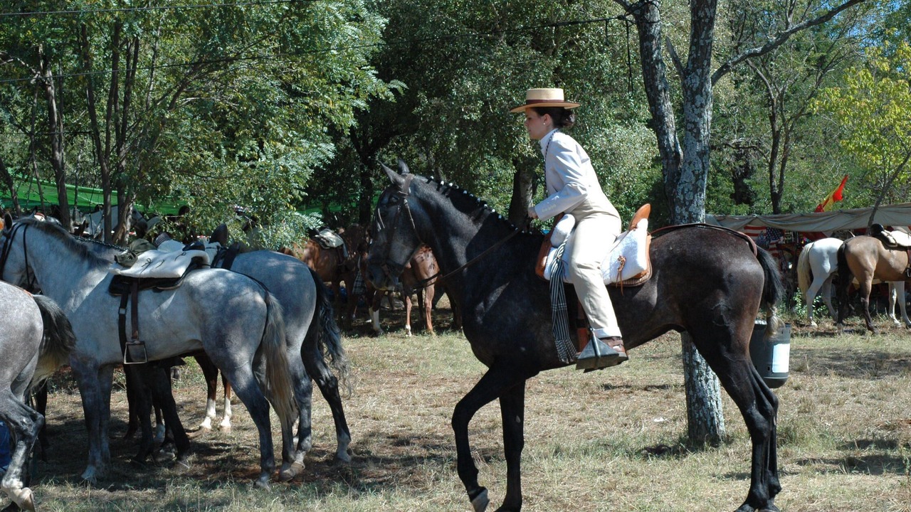 Photo of Others in Alajar