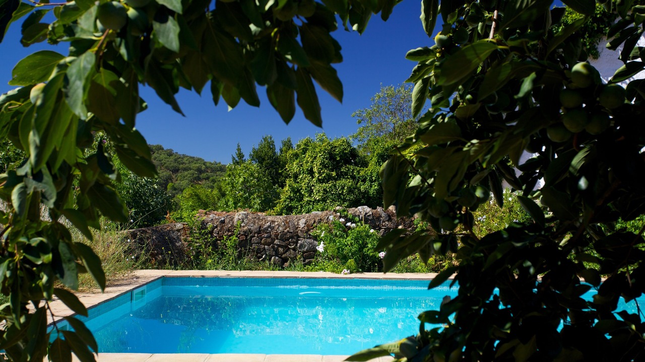 Photo of Outdoor in Alajar