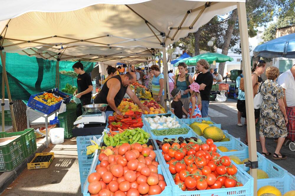 Photo of Others in Cala Ferrera