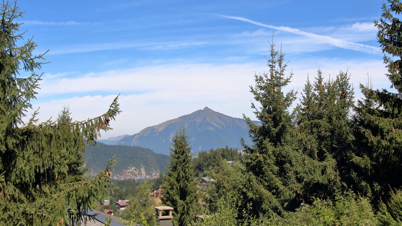 Photo of Outdoor in Les Carroz-d'Araches