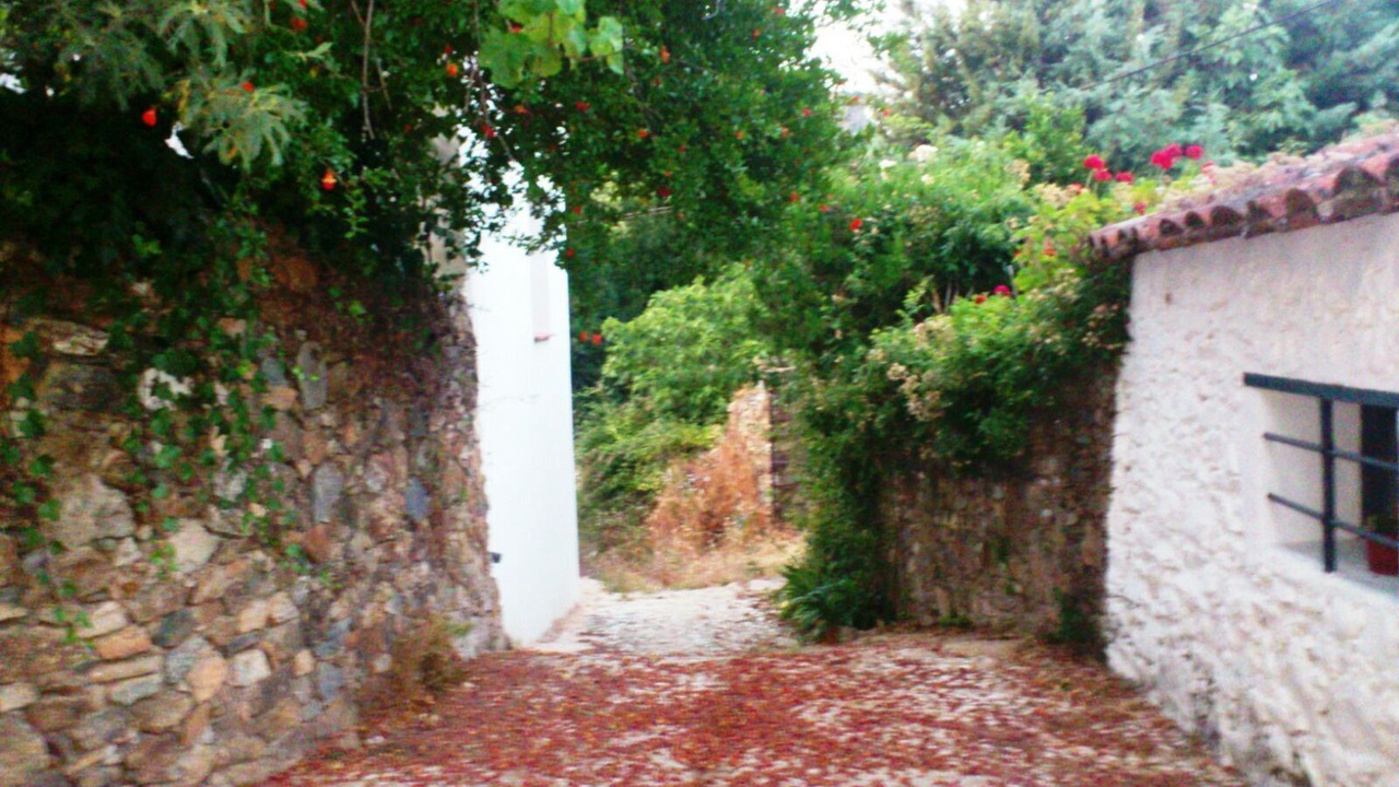 Photo of Outdoor in El Collado
