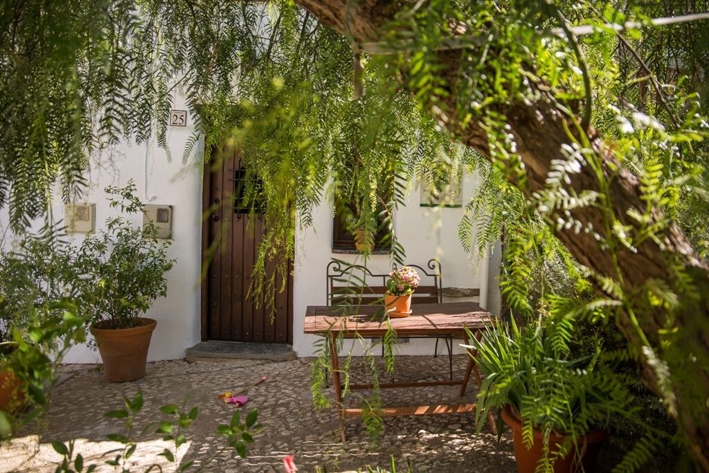 Photo of Outdoor in El Collado