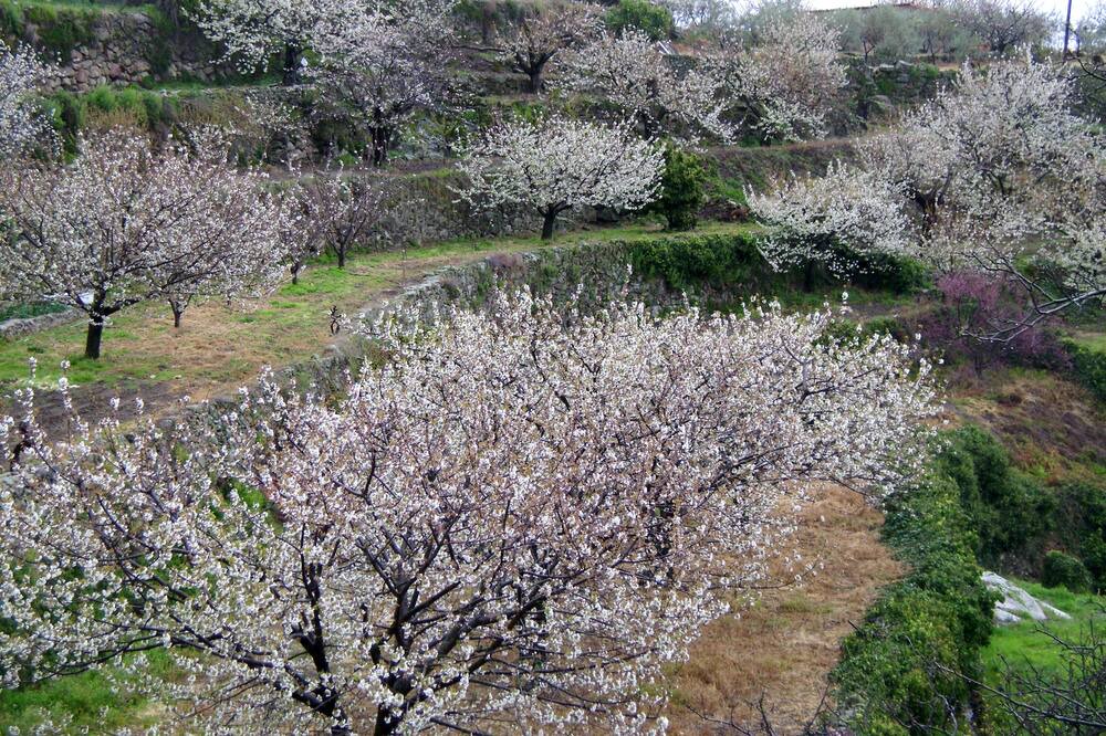 Photo of Outdoor in Malpartida de Plasencia