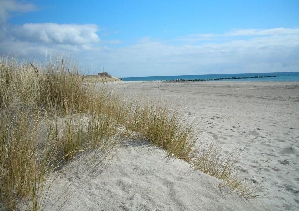 Photo of Others in Burg auf Fehmarn