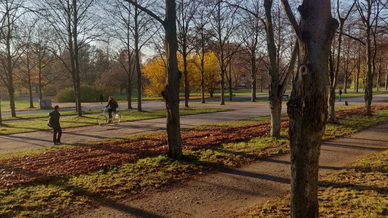 Photo of Outdoor in Mitte