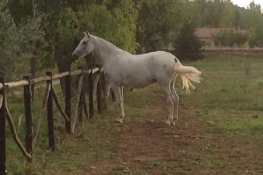 Photo of Outdoor in Ciudad Rodrigo
