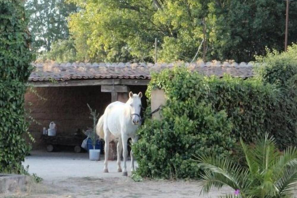 Photo of Outdoor in Ciudad Rodrigo