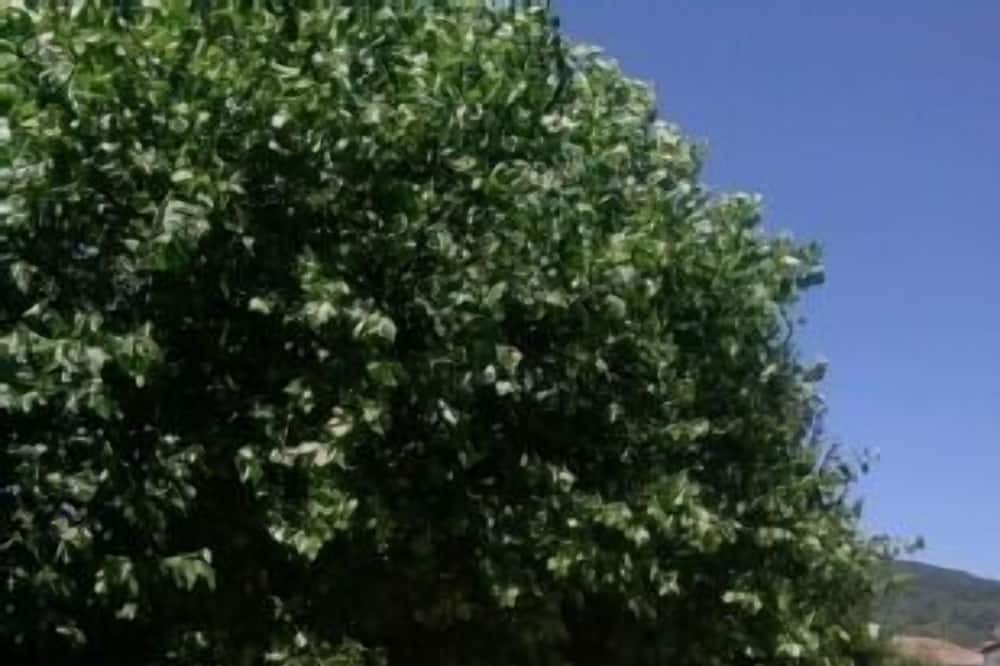 Photo of Outdoor in Aguera