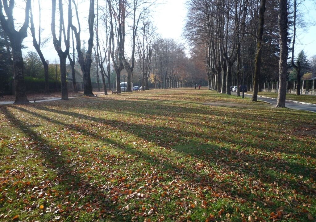 Photo of Outdoor in Setcases