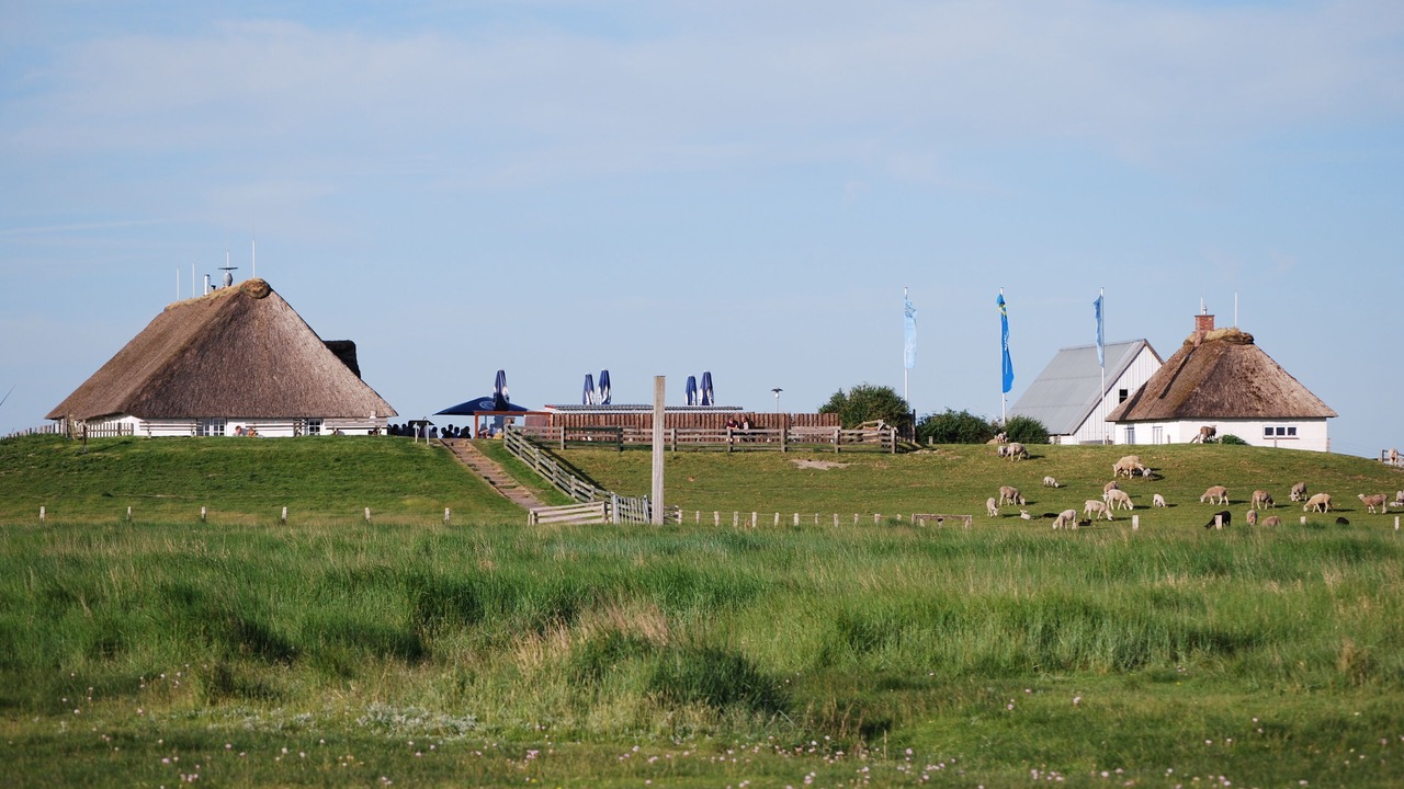 Photo of Others in Langenhorn