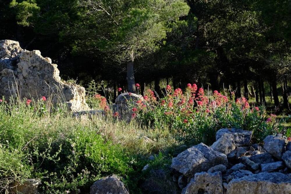Photo of Outdoor in La Franqui