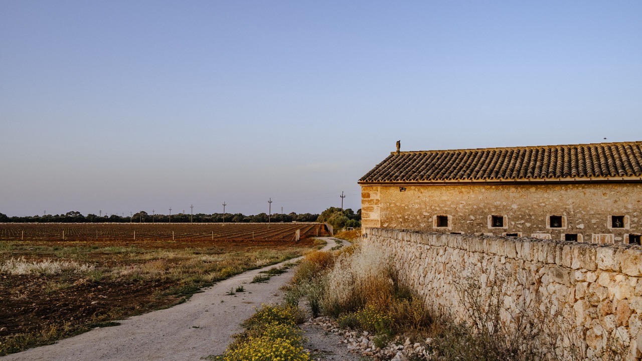 Photo of Outdoor in Llucmajor
