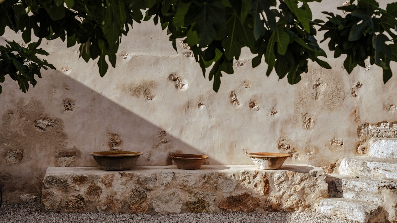 Photo of Outdoor in Llucmajor