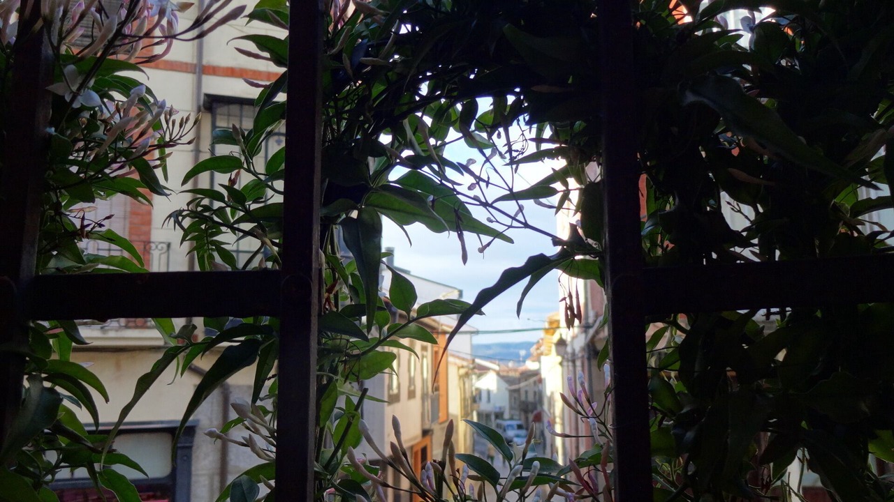 Photo of Outdoor in Piedrahita