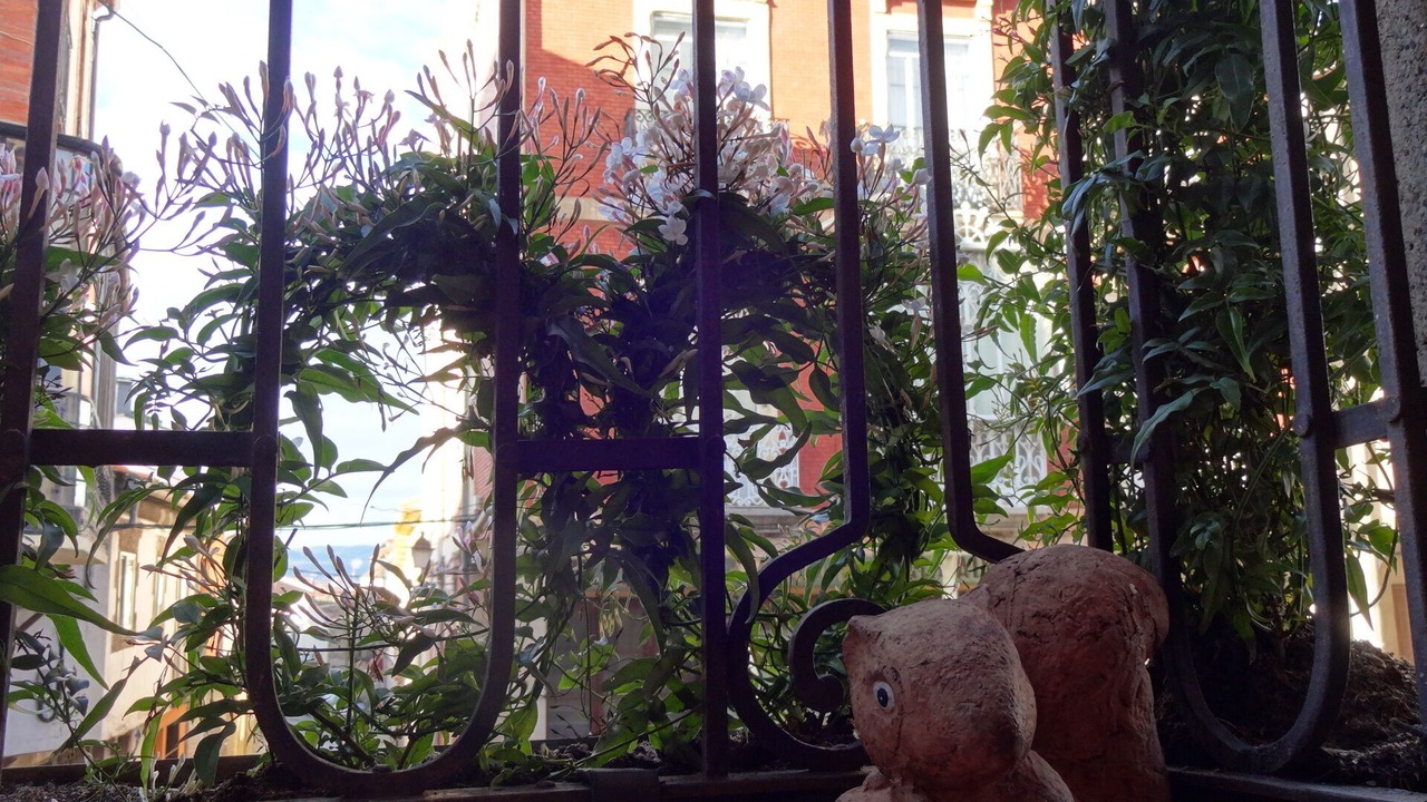 Photo of Outdoor in Piedrahita