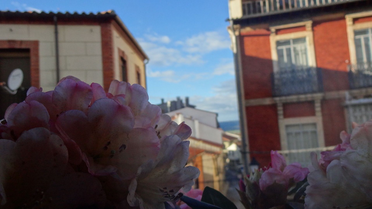 Photo of Outdoor in Piedrahita