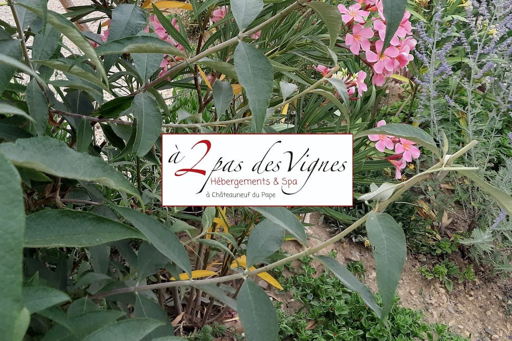 Photo of Outdoor in Chateauneuf-du-Pape
