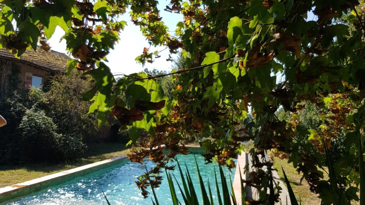 Photo of Outdoor in Saint-Sulpice