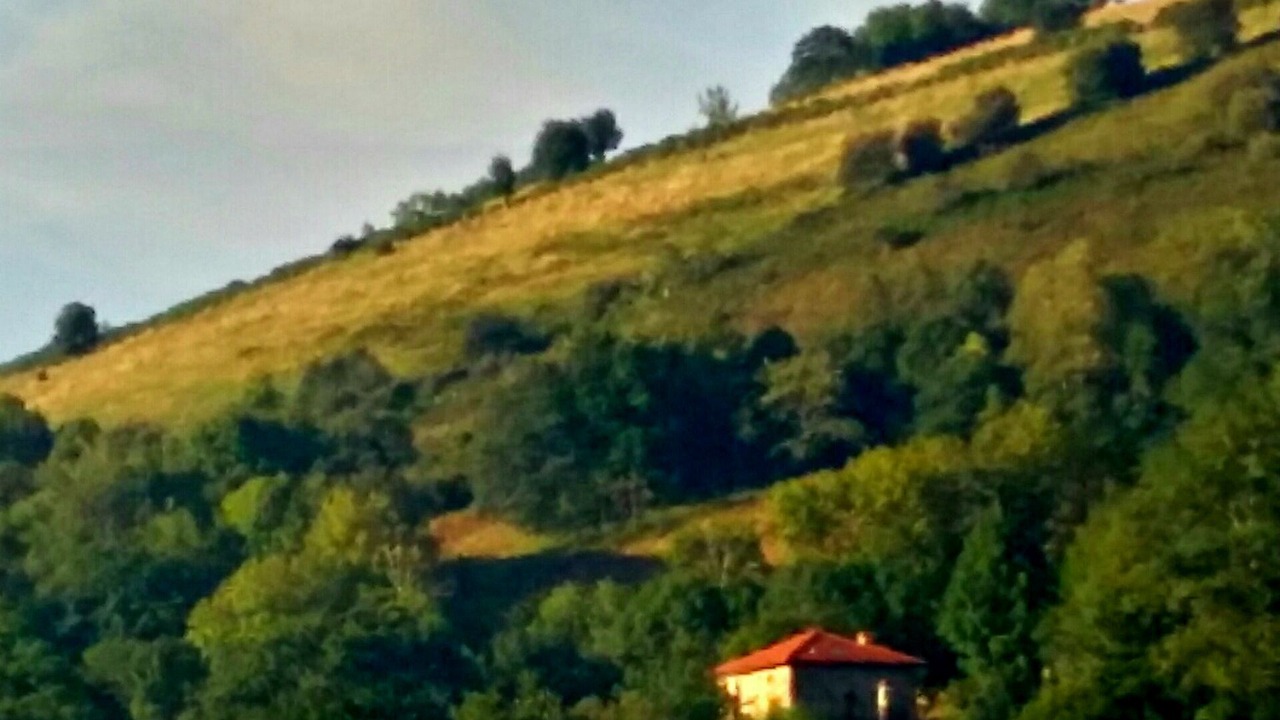 Photo of Outdoor in Ramales de la Victoria