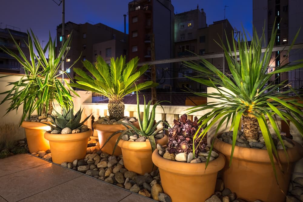 Photo of Outdoor in El Camp de l'Arpa del Clot
