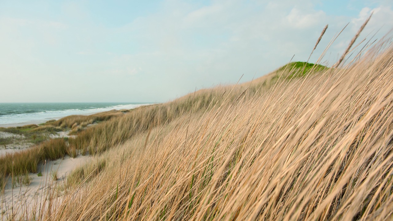 Photo of Outdoor in Sylt-Ost