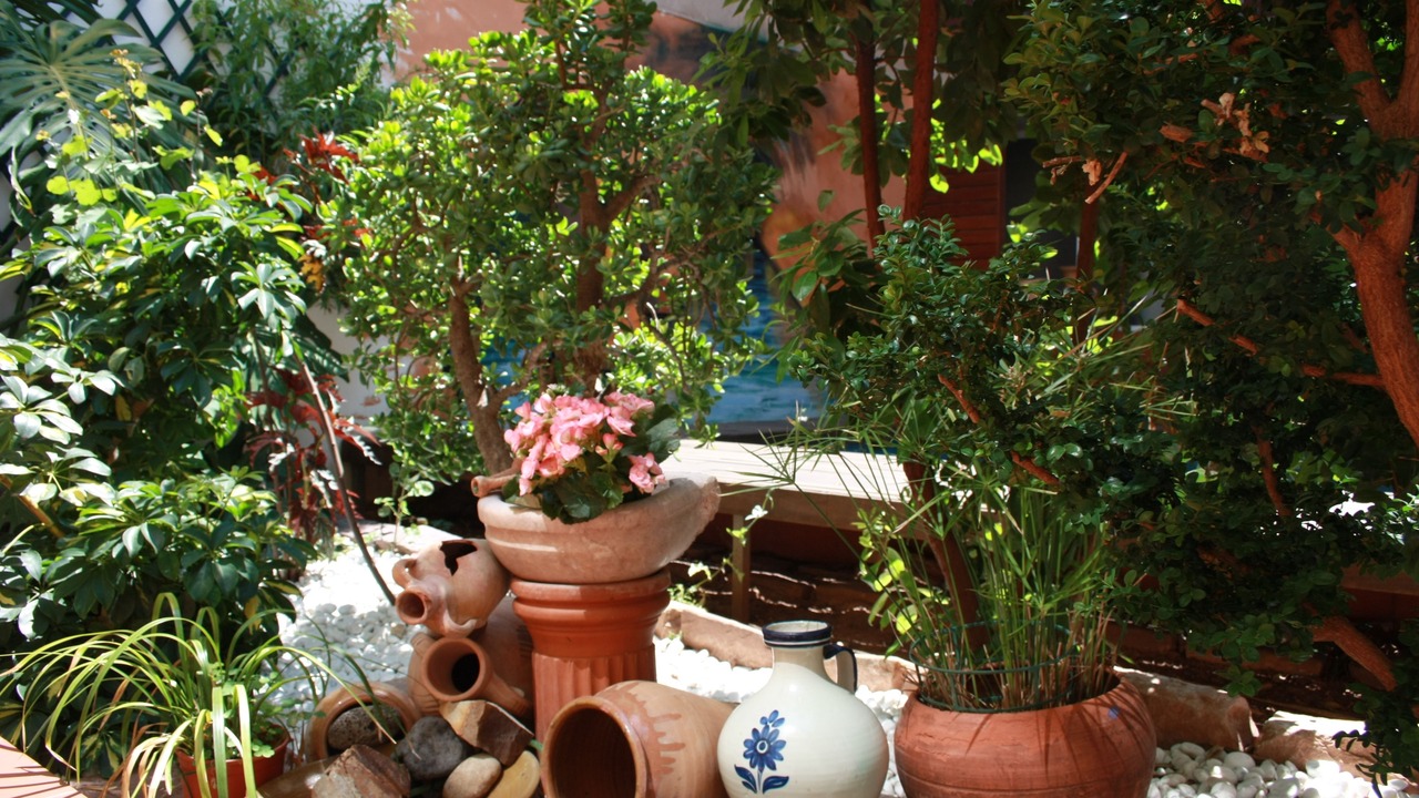 Photo of Outdoor in Sagunto