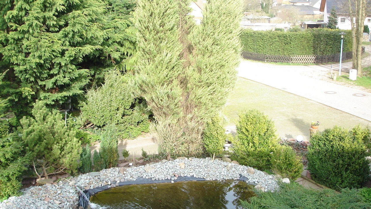 Photo of Outdoor in Suplingen